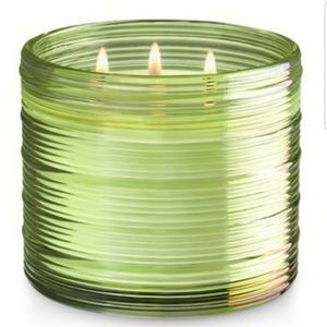 1 Bath Body Works PALM LEAVES & MANGO Candle